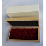 Pilot Custom 845 Fountain Pen FKV-5MR