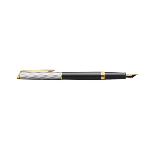 Waterman Hémisphère Reflections of Paris Gold Trim Fountain Pen 8901198913573