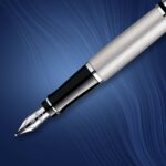 Waterman Expert STAINLESS STEEL CHROME TRIM FOUNTAIN PEN ‎S0952060