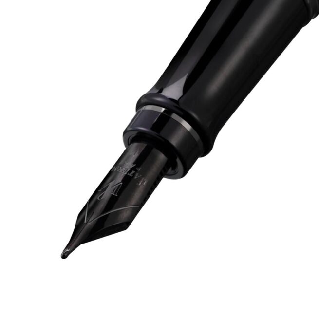 Waterman Expert Metallic Ruthenium Trim Black Fountain Pen ‎8901198923169